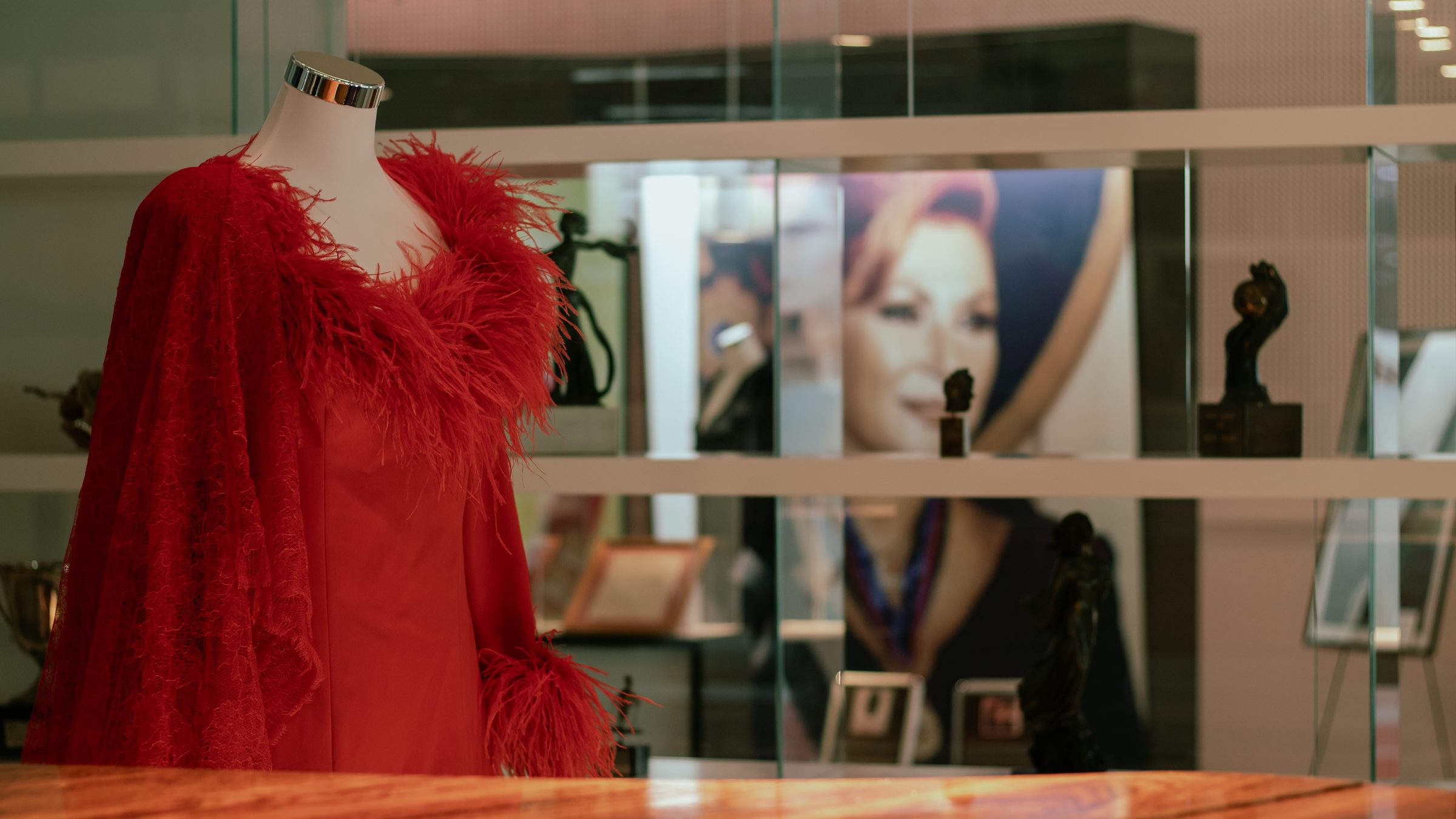 Rocío Jurado's red feather gown in front of the award cabinets at the exhibition centre